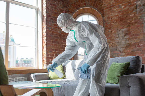 Best Emergency Mold Remediation in Lake Park, IA